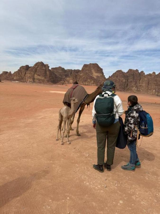 Bed and Breakfast Calm Camp Wadi Rum Exteriér fotografie